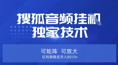 【搜狐音频挂G】独家技术，可矩阵可放大，红利期稳定月入8k【揭秘】-亮剑学堂